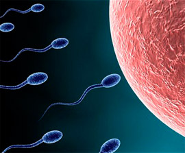 infertilitatea masculina