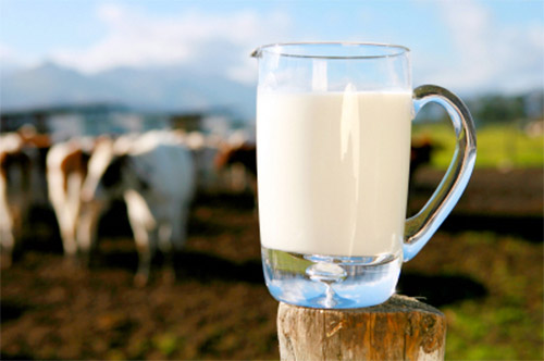 Ce alegem: laptele pasteurizat sau pe cel crud?