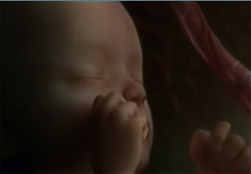 Dezvoltarea bebelusului in sarcina - Video 