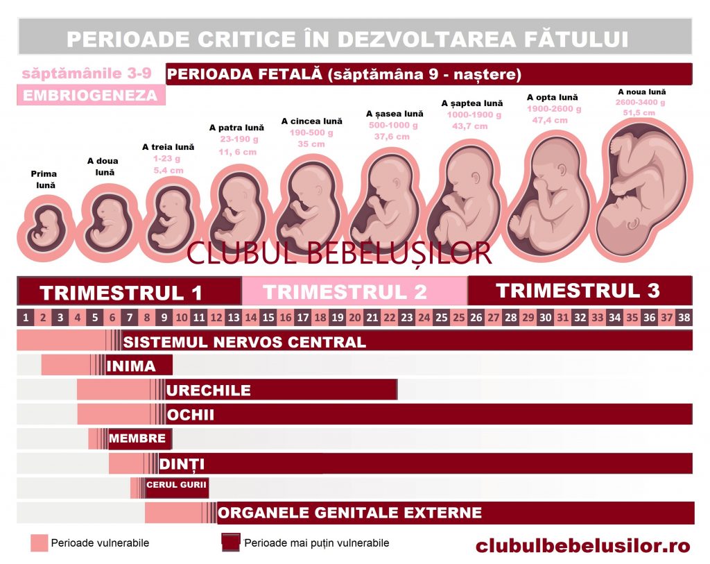 Mișcările fetale - mişcările intrauterine ale bebelușului