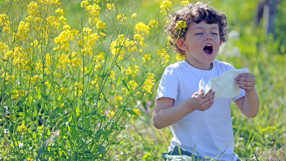 alergii-copii-simptome