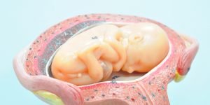 declansare travaliu in sarcina nastere bebe