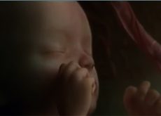 dezvoltarea-bebelusului-in-sarcina-video.jpg