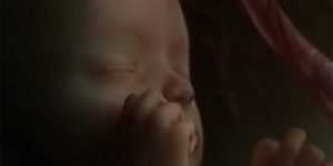 dezvoltarea-bebelusului-in-sarcina-video.jpg