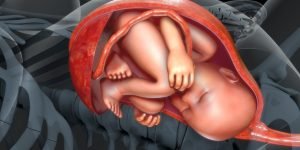 placenta cand se formeaza