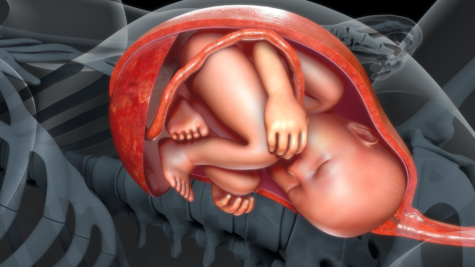 placenta cand se formeaza