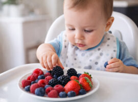 fructele-de-padure-la-bebelusi