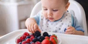 fructele-de-padure-la-bebelusi