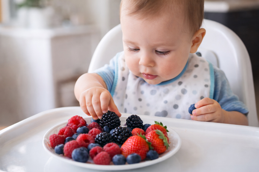 fructele-de-padure-la-bebelusi